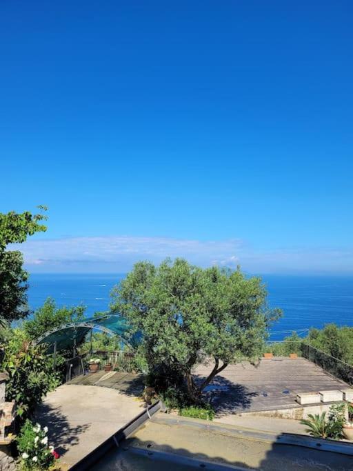 Villa Sun&Relax Massa Lubrense Exterior foto